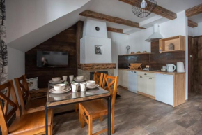 APARTAMENTY ZAZAMCZE, Muszyna